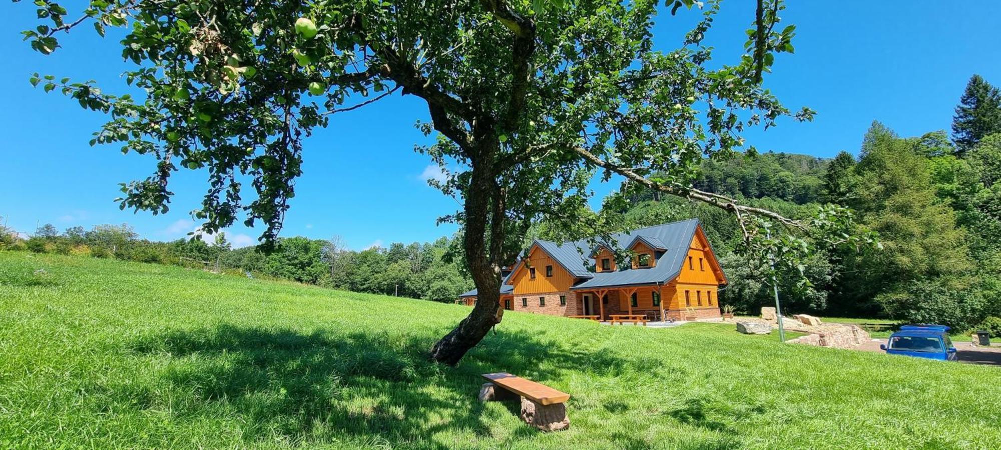 Ferienwohnung Chalupa Vapenka - Kapacita 12 Osob Stárkov Exterior foto